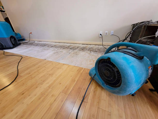 Professional Burst Pipe Water Damage technician working in Ceresco, NE